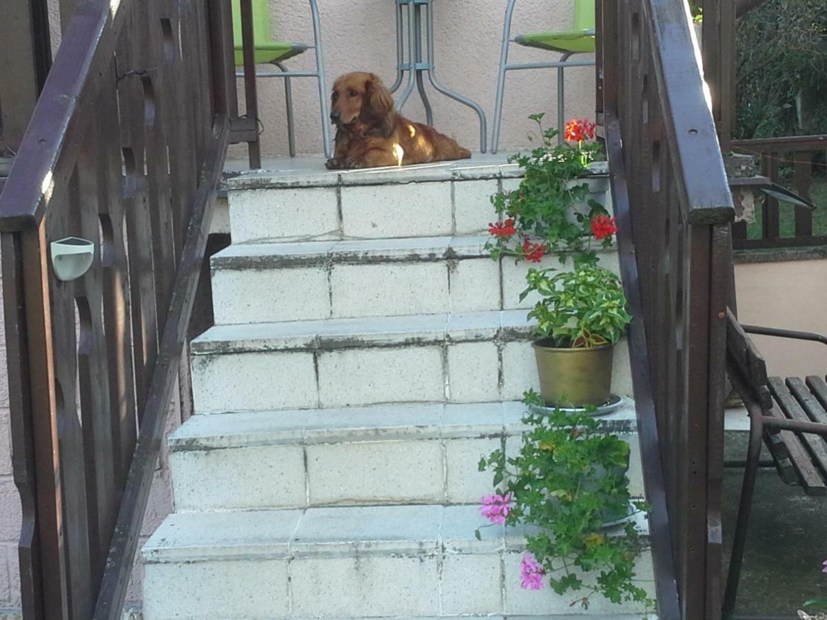 Ferienwohnung Utulny Privat Veľký Meder Exterior foto